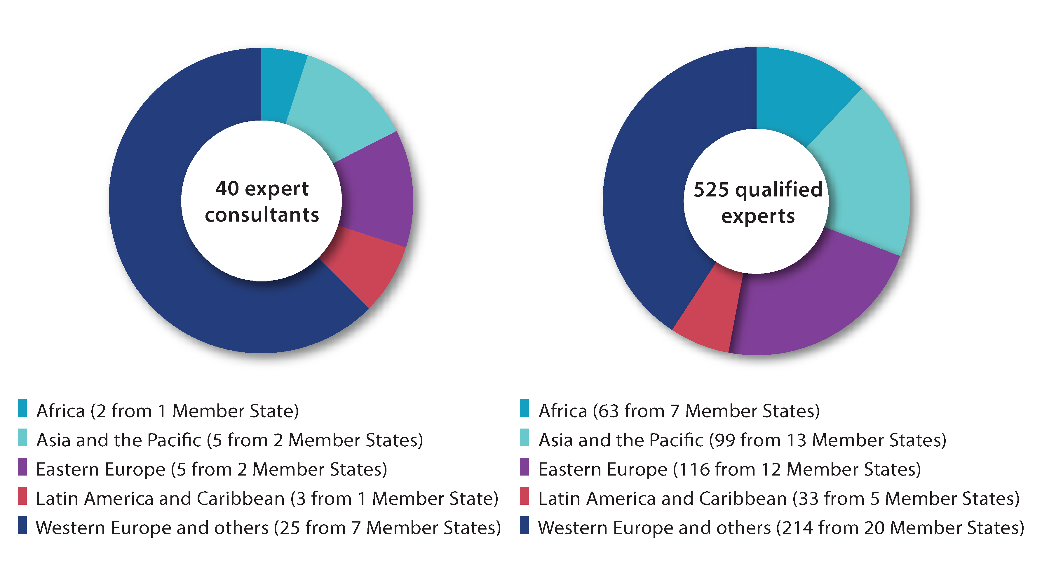 Pie chart showing distribution by region of expert consultants